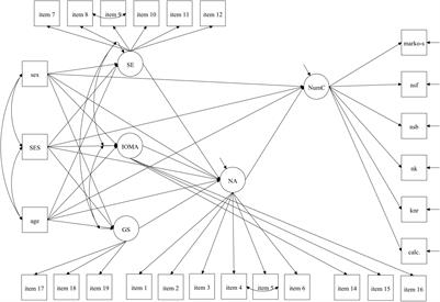 Associations Between Children’s Numeracy Competencies, Mothers’ and Fathers’ Mathematical Beliefs, and Numeracy Activities at Home